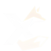 Xtreme Card